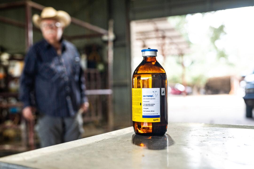 (Top) Veterinarian and rancher Michael Vickers (C) looks on as a cow is released from a chute at Las Palmas Veterinary Hospital in Falfurrias, Texas, on Oct. 8, 2025. Vickers keeps about 100 head on a 1,000-acre ranch just south of Falfurrias. (Bottom Left) Dectomax, an anti-parasitic, at Las Palmas Veterinary Hospital in Falfurrias, Texas, on Oct. 8, 2025. (Bottom Right) Veterinarian Michael Vickers (R) tends to a horse at Las Palmas Veterinary Hospital in Falfurrias, Texas, on Oct. 8, 2025. (Samira Bouaou/The Epoch Times)