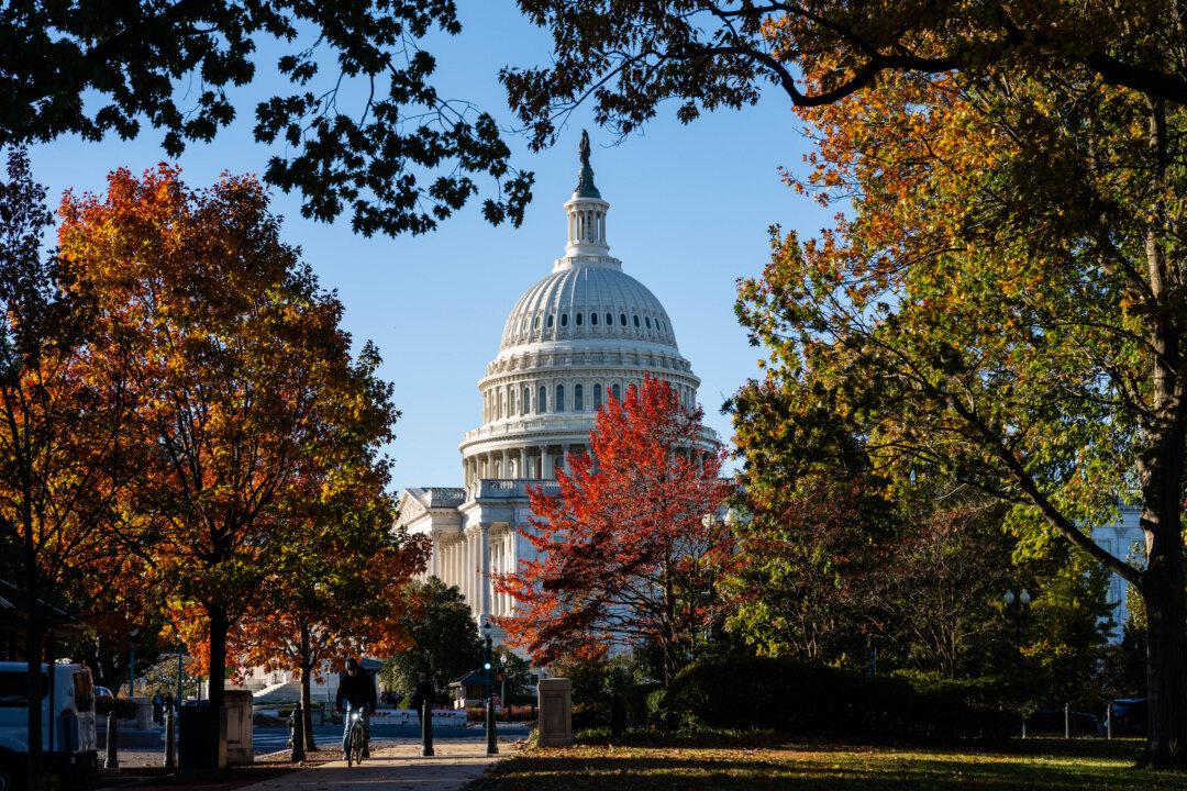 A cyclist rides near the U.S. Capitol in Washington on Nov. 6, 2025, the 37th day of the government shutdown, the longest in U.S. history. (Eric Lee/Getty Images)
