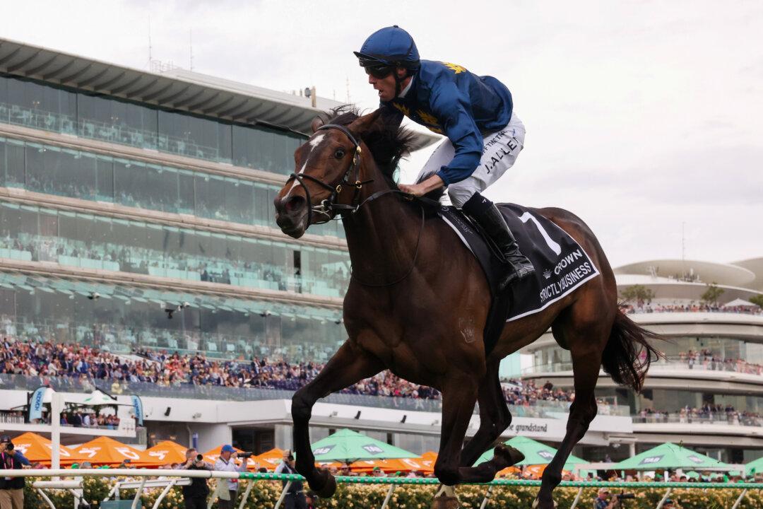 John Allen rides #7 Strictly Business to win race eight at the Crown Oaks during Oaks Day at Flemington Racecourse in Melbourne, Australia, on Nov. 6, 2025. (Robert Cianflone/Getty Images)