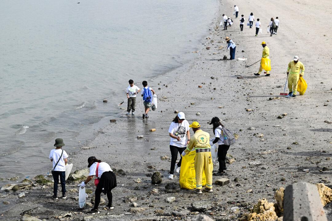 Participants take part in the clean-up campaign “Operation Turtles” organized by the Japanese Embassy at al-Shuwaikh Beach in Kuwait City, on Nov. 8, 2025. (Yasser Al-Zayyat/AFP via Getty Images)