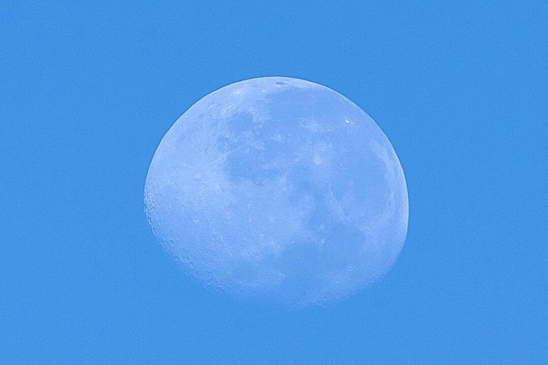 The waning gibbous moon shines over Bogota, Colombia, on Nov. 8, 2025. (Luis Acosta/AFP via Getty Images)