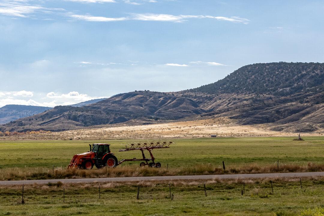 A farm outside of Ten Sleep, Wyo., on Oct. 14, 2025. Richards said heavy consolidation in the meat industry is edging out small producers and leaving the food supply chain vulnerable enough to make famine conceivable. (John Fredricks/The Epoch Times)