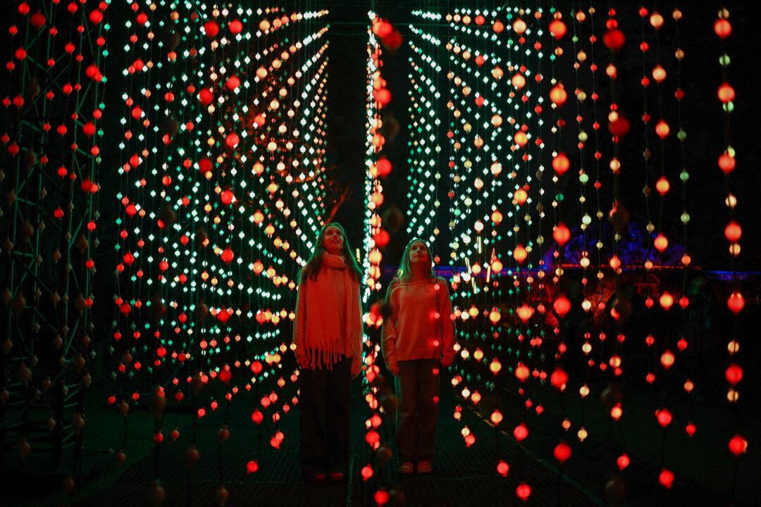 People look at a light installation entitled ‘Submergence’ at the Palm House, during a photocall to preview “Christmas at Kew” at the Royal Botanic Gardens in Kew, southwest London, on Nov. 13, 2025. (Henry Nicholls/AFP via Getty Images)