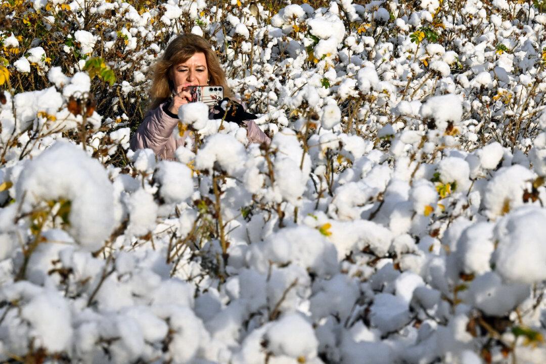 A woman takes a photo in a snowy park after an overnight snowfall in Saint Petersburg, Russia, on Nov. 15, 2025. (Olga Maltseva/AFP via Getty Images)