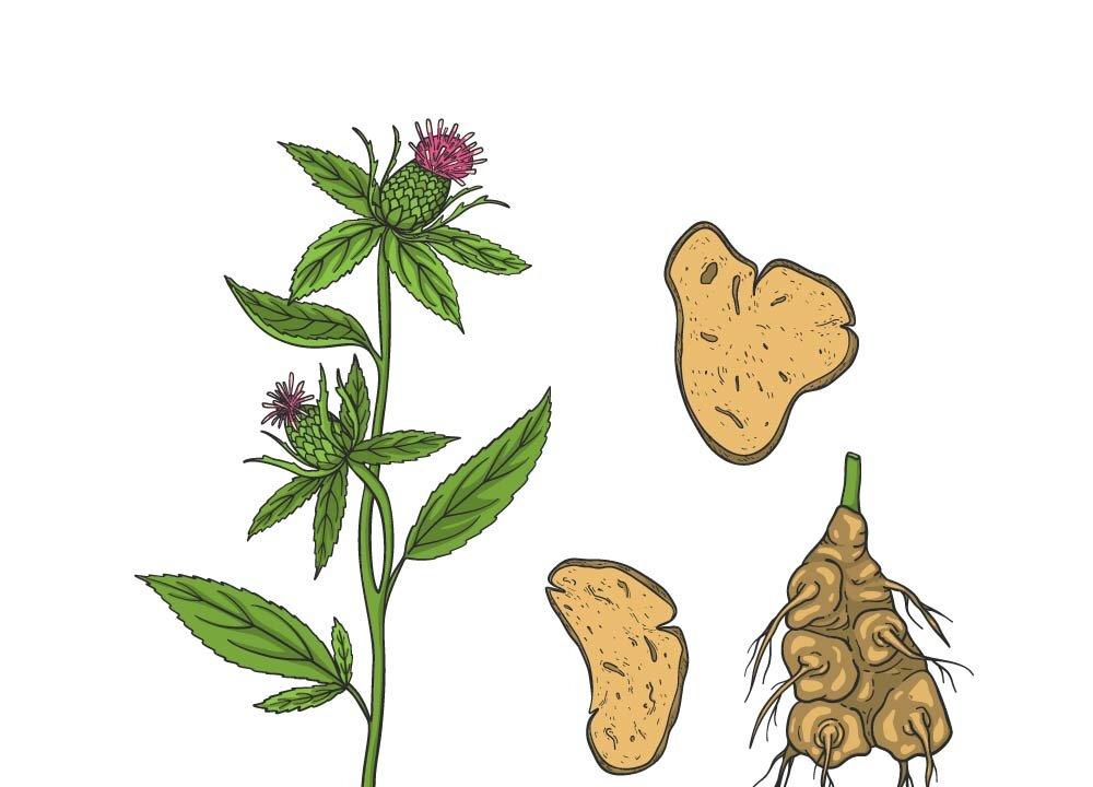 (Illustration by The Epoch Times, Shutterstock)