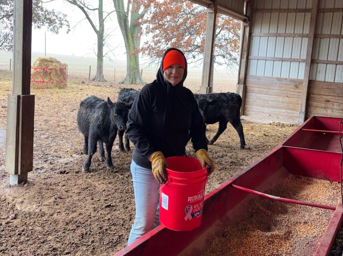Heather Hampton-Knodle feeds cattle on her ranch in Illinois in 2025. (Courtesy of Heather Hampton-Knodle)