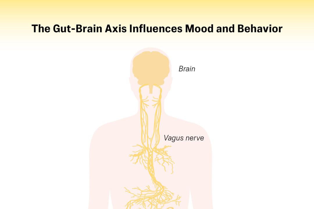 (Illustration by The Epoch Times, Shutterstock)