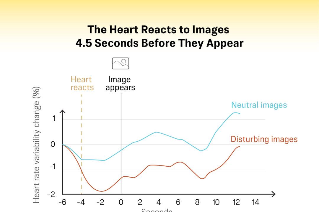 Replicated results following Radin’s original experiment. Lower heart rate variability in response to disturbing images indicates a stronger fight-or-flight reaction. (Illustration by The Epoch Times)