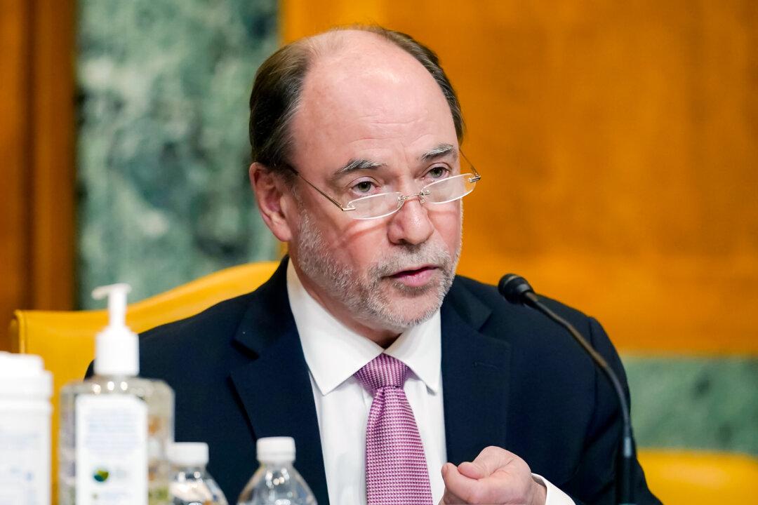 American Action Forum President Douglas Holtz-Eakin speaks during a Senate Budget Committee hearing on Capitol Hill in Washington on Feb. 25, 2021. (Susan Walsh-Pool/Getty Images)