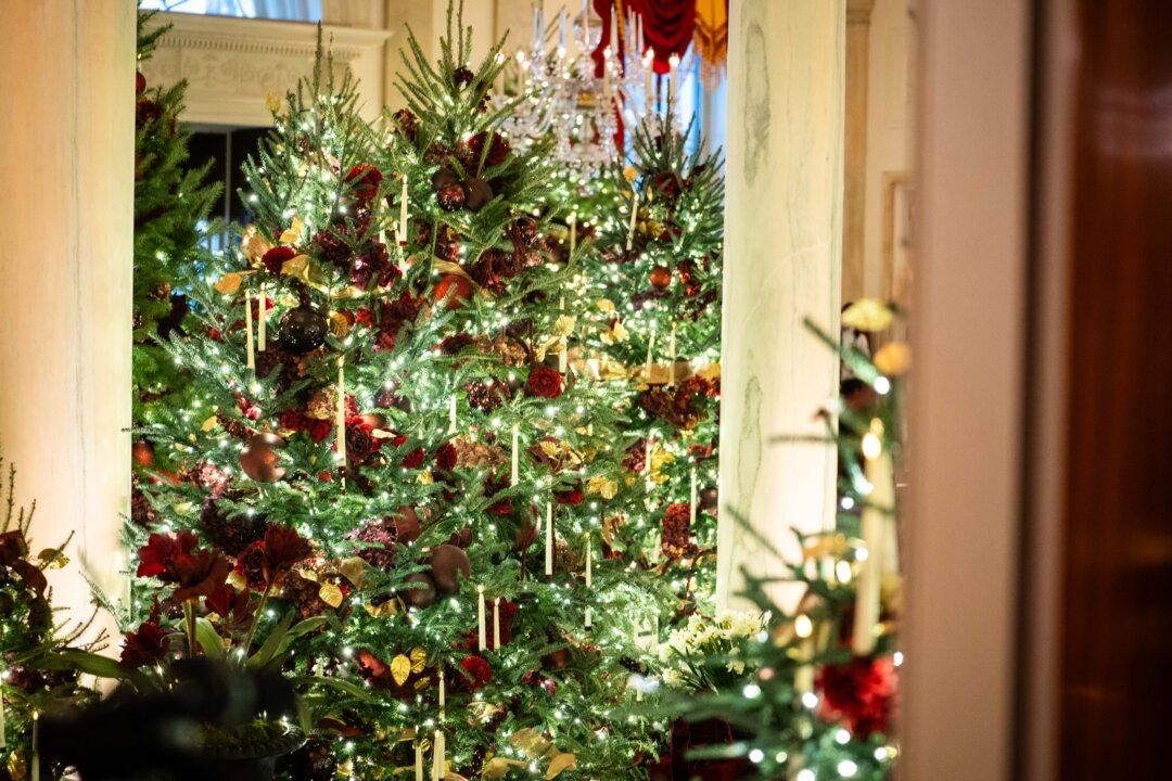 Christmas trees and decorations adorn the White House on Dec. 1, 2025. (Madalina Kilroy/The Epoch Times)