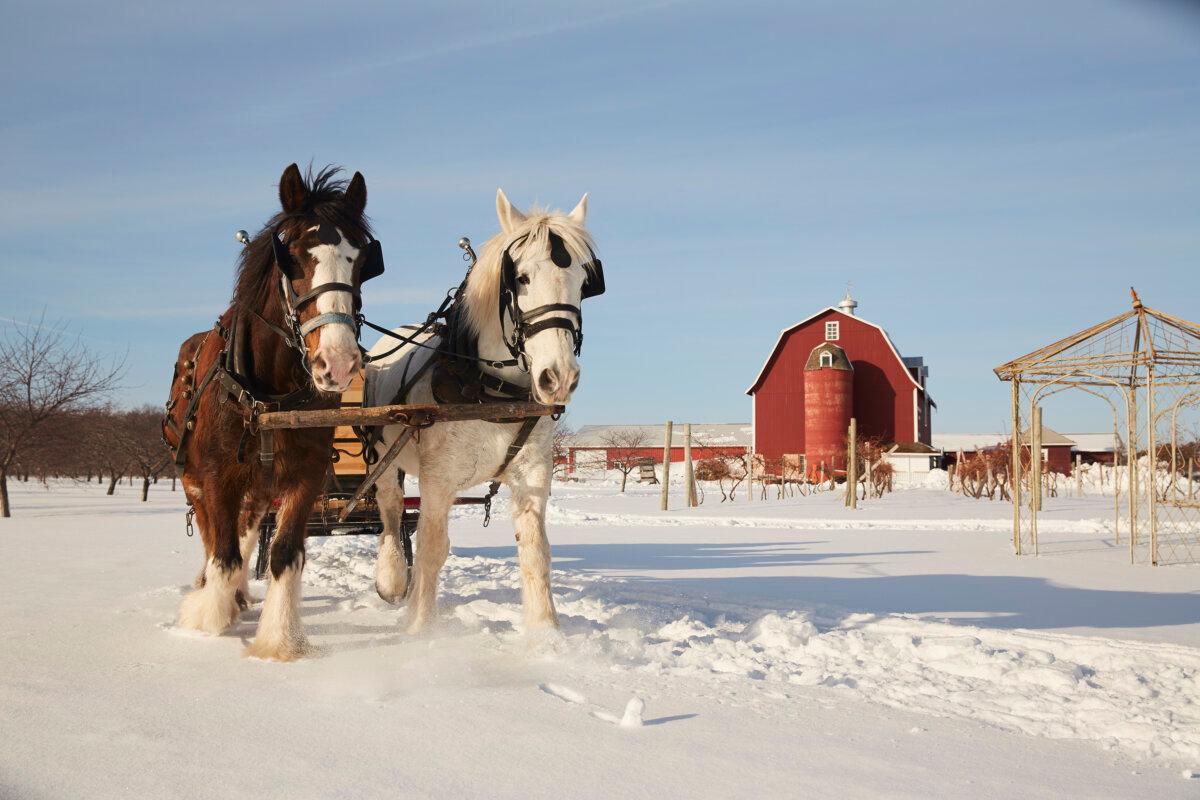 Winter sleigh ride at Orchard Country. (John Nienhuis/Destination Door County/TNS)
