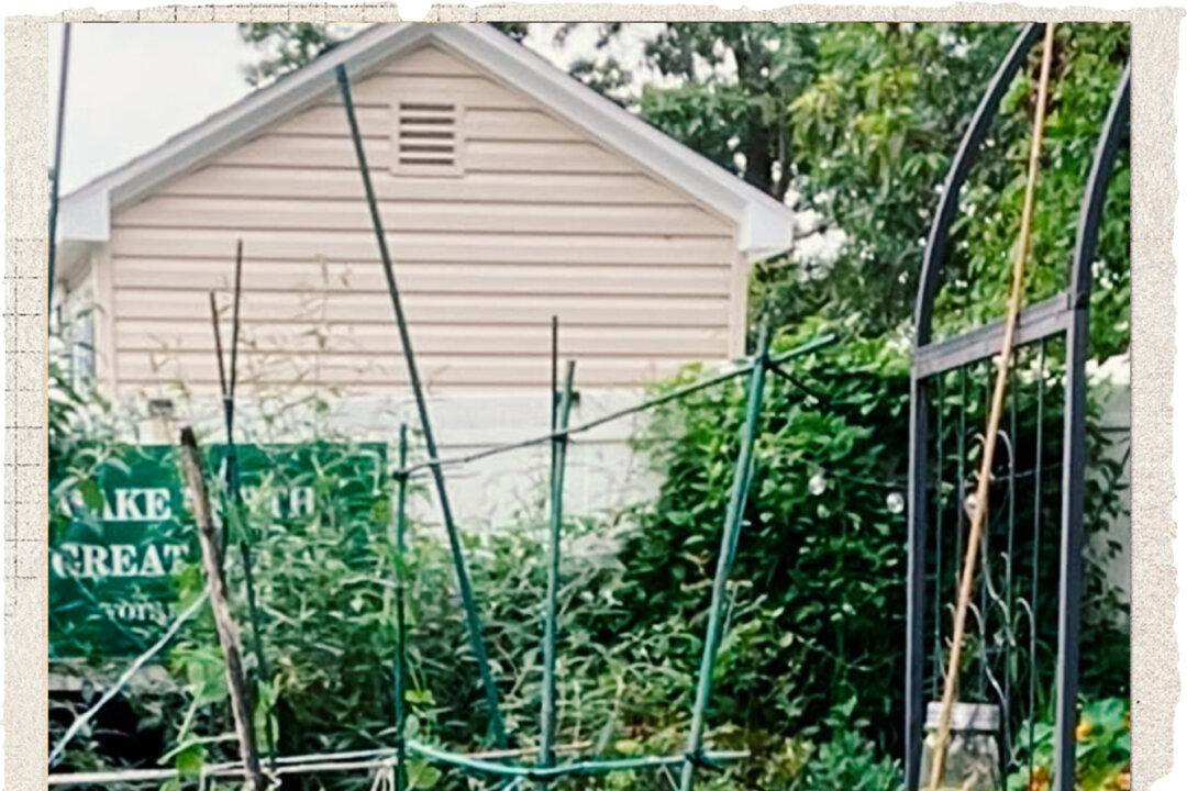 Jacqueline Capriotti, founder of the Victory Garden Alliance, in an undated photo. Louderback and his nonprofit have partnered with the group to grow regeneratively raised produce for donation. (Courtesy of Jacqueline Capriotti)