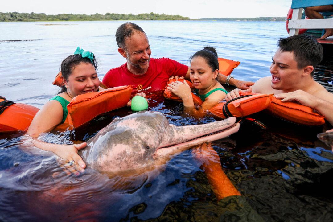 Physiotherapist Igor Simoes Andrade and young people with disabilities swim with pink dolphins on the Rio Negro in Iranduba, Amazonas state, Brazil, on Feb. 20, 2025. Andrade launched the ‘Bototherapy’ program in 2016 to provide sessions for people with physical and mental disabilities by taking them to swim with wild pink freshwater dolphins in the Amazon. (Michael Dantas/AFP via Getty Images)