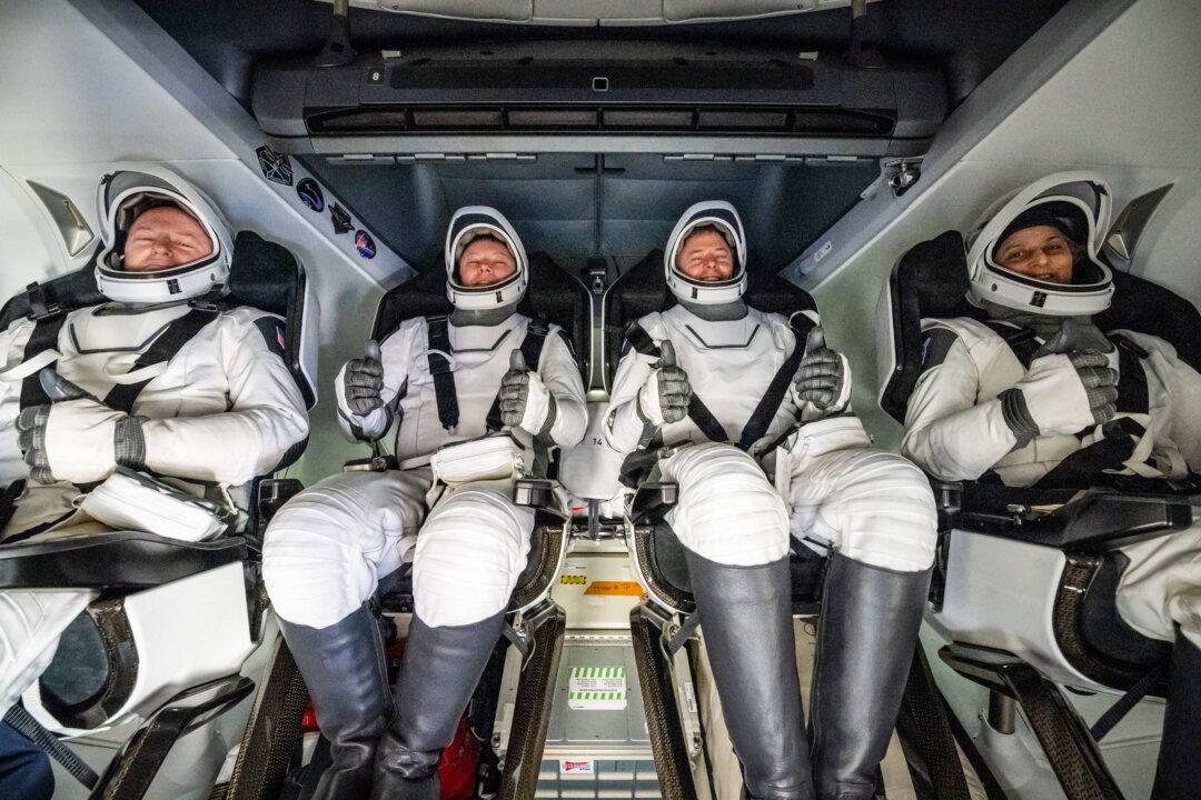 (L-R) NASA astronaut Butch Wilmore, Roscosmos cosmonaut Aleksandr Gorbunov, and NASA astronauts Nick Hague and Suni Williams inside a SpaceX Dragon spacecraft onboard the SpaceX recovery ship MEGAN shortly after having landed off the coast of Tallahassee, Fla., on March 18, 2025. Hague, Gorbunov, Williams, and Wilmore returned from a long-duration science expedition aboard the International Space Station. (Keegan Barber/NASA via Getty Images)