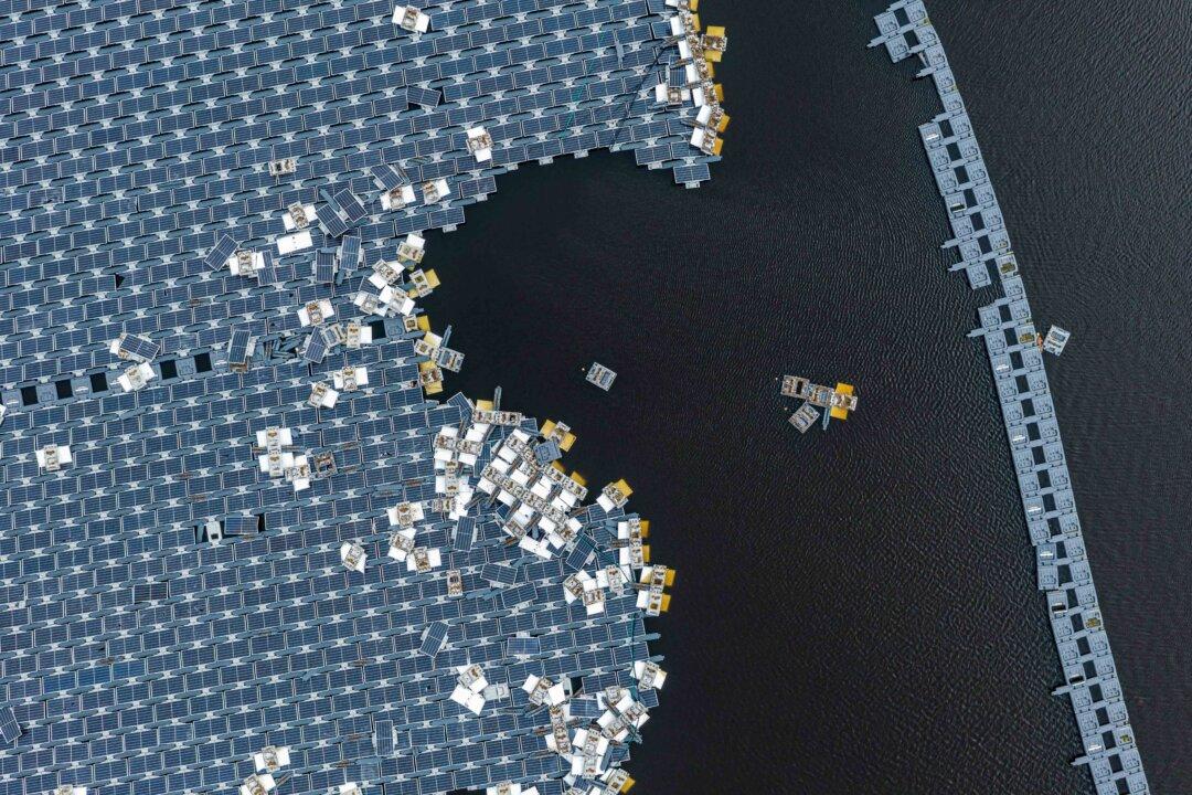 An aerial view shows damaged, floating photovoltaic panels in the Xinwen Detention Basin after Typhoon Danas swept through Chiayi, Taiwan, on July 11, 2025. Typhoon Danas made landfall late on July 6 along Taiwan's west coast with winds up to 135mph and torrential rain. The storm killed two people in Tainan, injured more than 630 people, and cut power to around 700,000 households at its peak. Flooding and landslides were widespread, shutting schools, businesses, and transport networks across the countryÕs southern and central regions, with more than 3,400 evacuations reported. Emergency crews focused on clearing debris, repairing infrastructure, and restoring power. (Annabelle Chih/Getty Images)