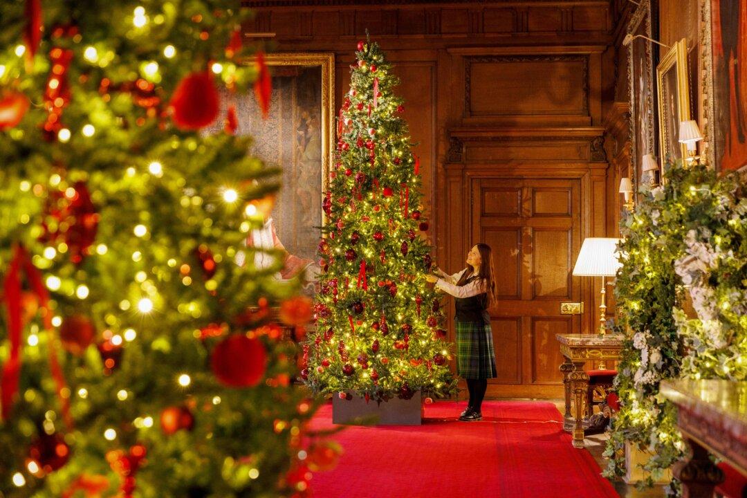 A warden makes final adjustments to the Christmas tree at the Palace of Holyroodhouse in Edinburgh, Scotland, on Nov. 20, 2025. The Palace of Holyroodhouse, also known as Holyrood Palace, is the official residence of the British monarch in Scotland. During the festive season, the palace is dressed with Christmas decorations, including two 12-foot-high Christmas trees. (Robert Perry/Getty Images)