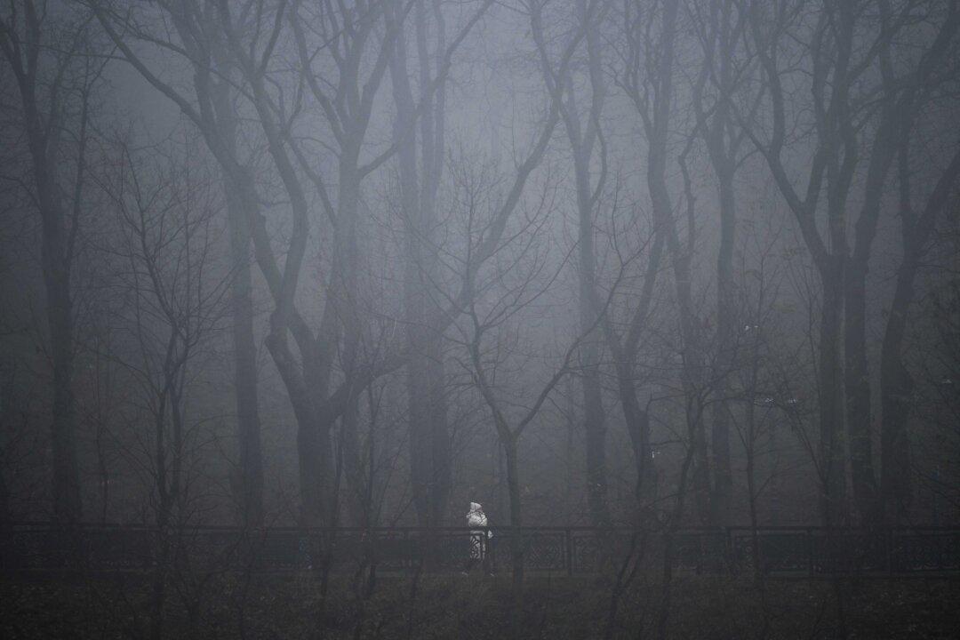 A woman walks in a park during a foggy day in Kyiv, Ukraine, on Nov. 21, 2025. (Sergei Gapon/ AFP via Getty Images)