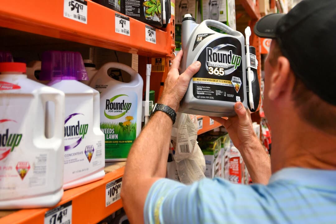 A customer shops for Roundup weed killer in San Rafael, Calif., on July 9, 2018. Brazil, France, Bermuda, Sri Lanka, Colombia, Austria, Germany, the United Arab Emirates, Italy, and more have taken steps to ban or restrict the sale of Roundup and glyphosate-based herbicides. (Josh Edelson/AFP via Getty Images)