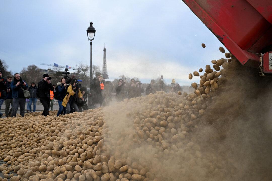 Farmers dump potatoes during a protest near the National Assembly to demand “concrete and immediate action” from the government in Paris on Jan. 13, 2026. A few days before the signing of the EU-Mercosur agreement, a convoy of farmers called by the French union National Federation of Agricultural Holders' Unions and the “Jeunes Agriculteurs” union, entered the capital early in the morning. (Martin Lelievre/AFP via Getty Images)