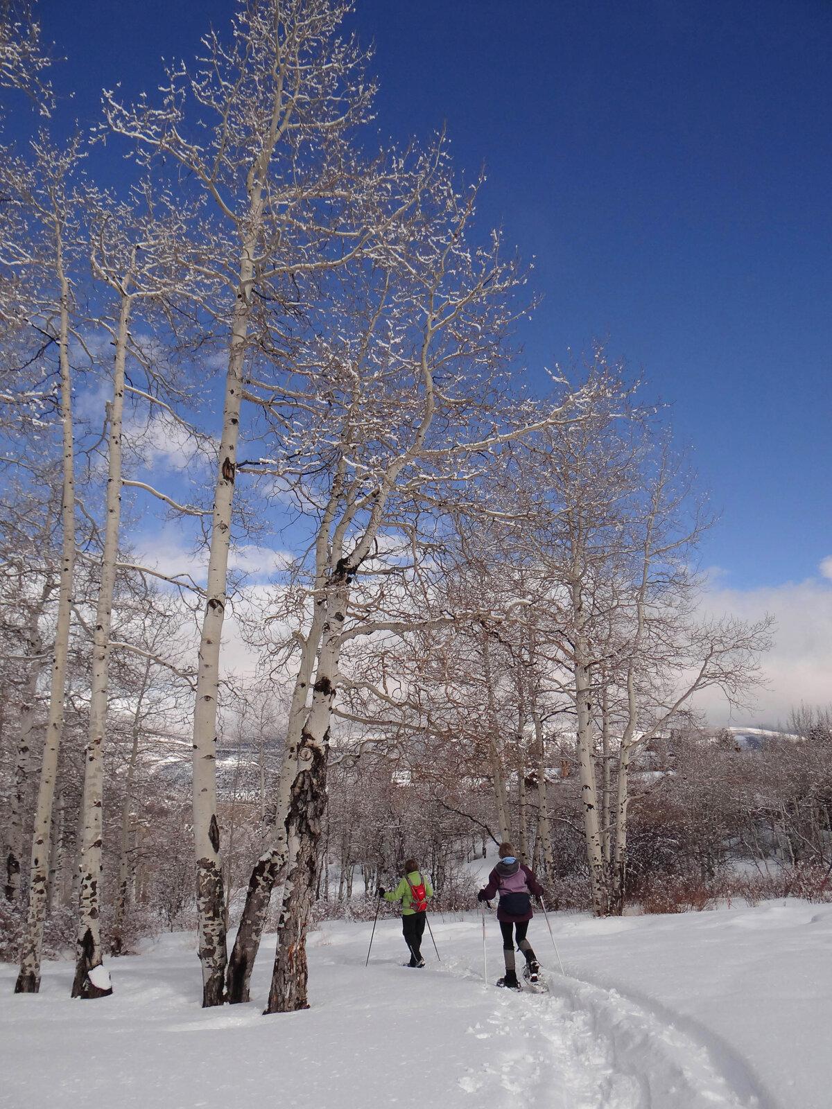 For a slower paced experience, there’s also snowshoeing and hiking. (Steve Estvanik/Dreamstime/TNS)