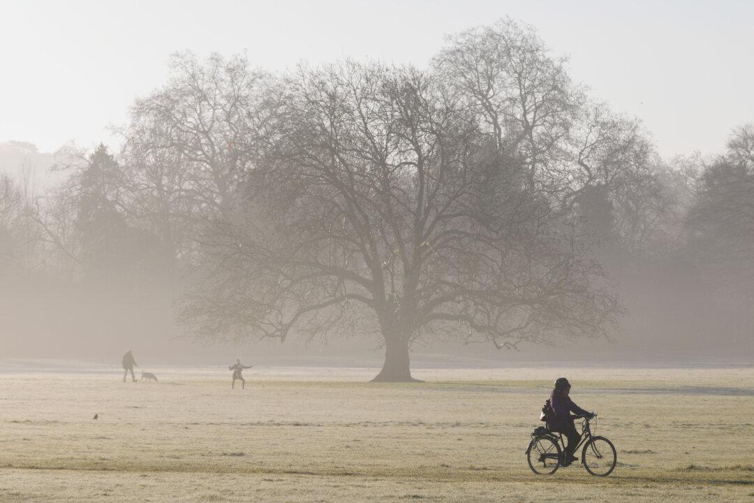 A cyclist makes their way through the early morning mist in a park in Peckham in London, England, on Jan. 14, 2026. (Dan Kitwood/Getty Images)