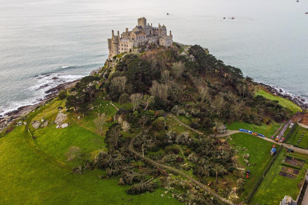 Fallen trees in St Michael's Mount, Cornwall, England, on Jan. 14, 2026. Last week saw Storm Goretti bring high winds to Cornwall, leaving a trail of destruction. (Hugh Hastings/Getty Images)