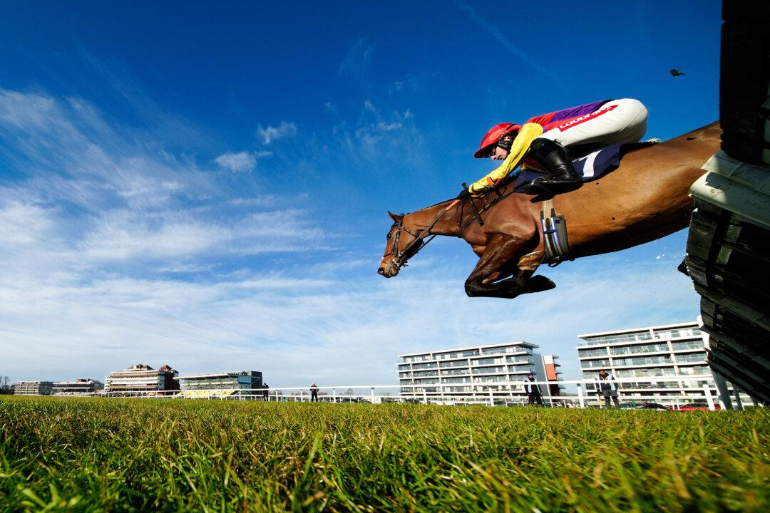 Ben Jones riding Sober Glory on their way to winning The BOYLE Sports Home Of Early Payout Novices' Hurdle (GBB Race) (Div 1) at Newbury Racecourse in Newbury, England, on Jan. 14, 2026. (Alan Crowhurst/Getty Images)