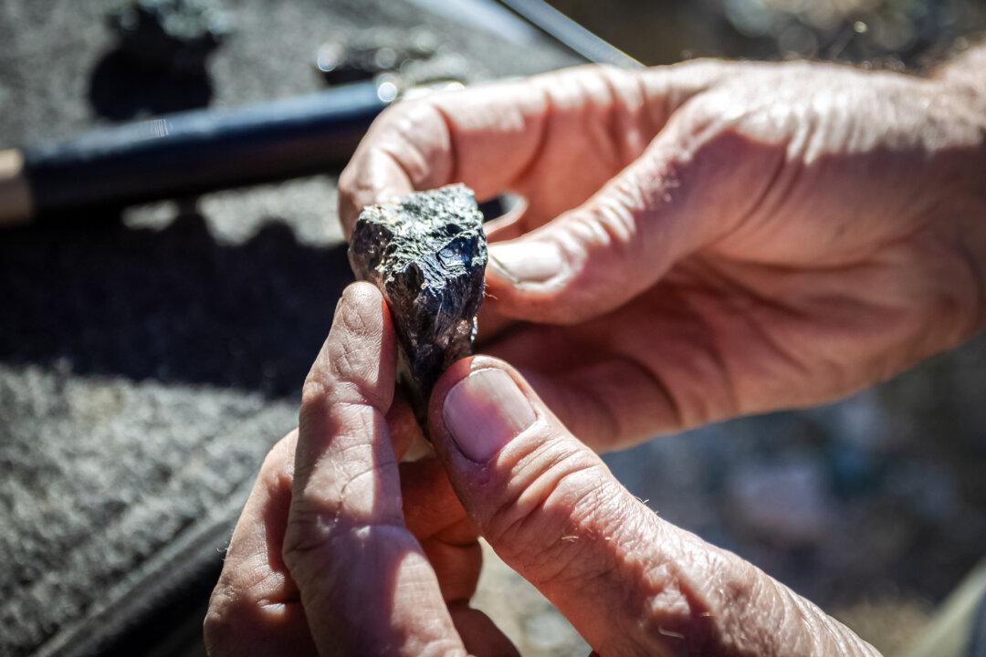 (Top) A blacklight reveals the colors of a uranium deposit in San Bernardino County, Calif., on Dec. 10, 2025. (Bottom Left) A miner holds a gold sample in San Bernardino County, Calif., on Dec. 10, 2025. (Bottom Right) A prospector displays a sample of rare-earth minerals from the same region on Dec. 10, 2025. (John Fredricks/The Epoch Times)