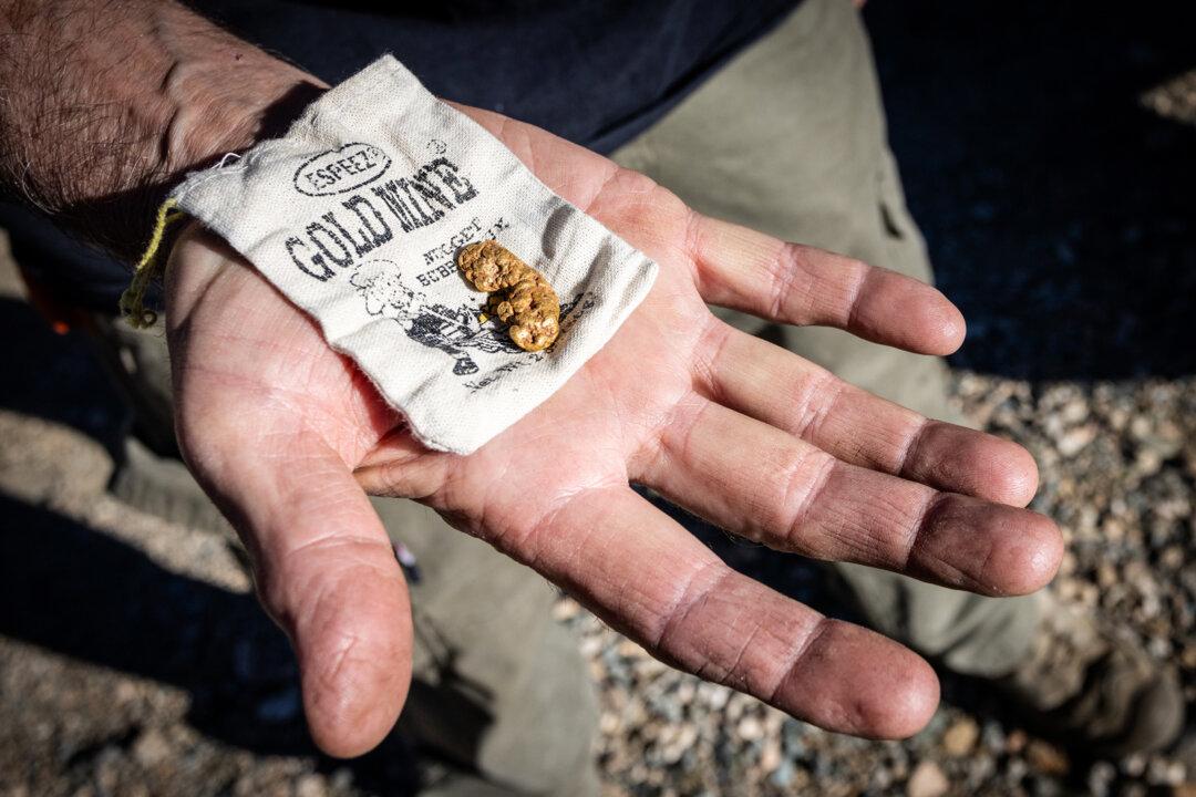 (Top) A blacklight reveals the colors of a uranium deposit in San Bernardino County, Calif., on Dec. 10, 2025. (Bottom Left) A miner holds a gold sample in San Bernardino County, Calif., on Dec. 10, 2025. (Bottom Right) A prospector displays a sample of rare-earth minerals from the same region on Dec. 10, 2025. (John Fredricks/The Epoch Times)