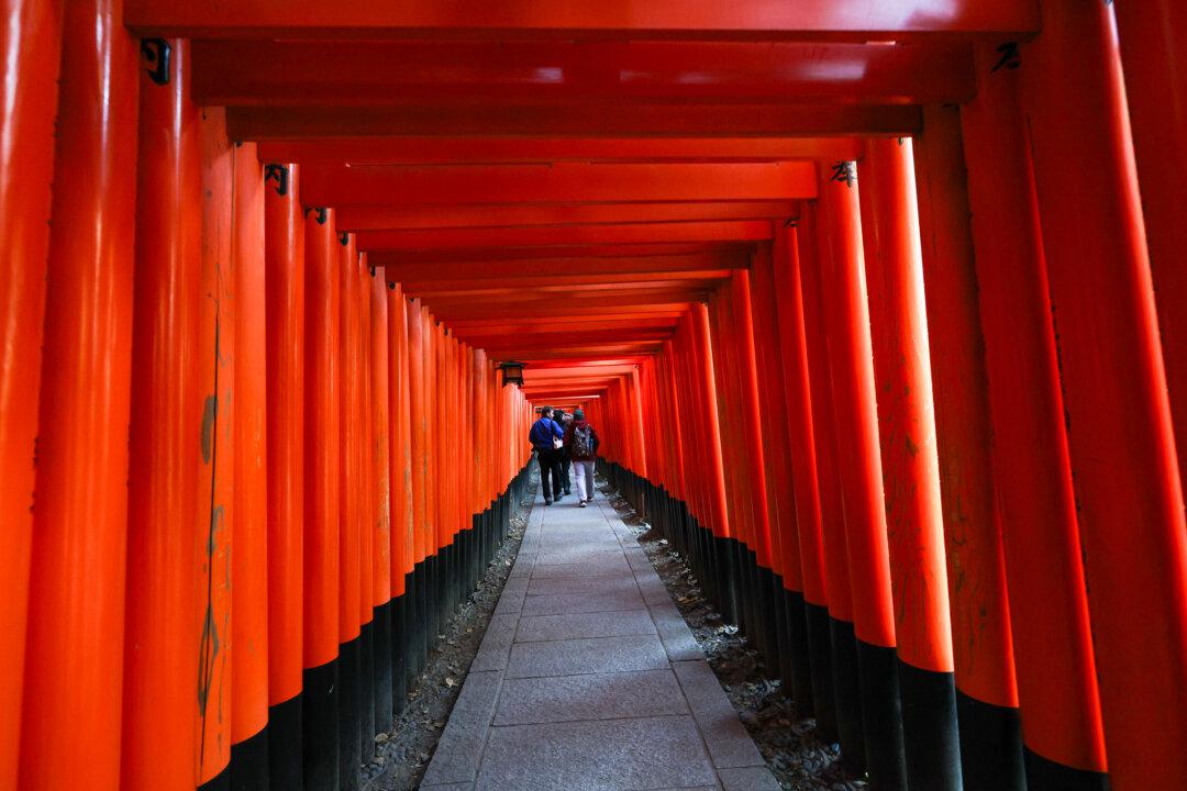 Visitors walk through the torii gates of Fushimi Inari Taisha shrine, one of Japan's most popular tourist destinations in Kyoto on Jan. 21, 2026. Last year the country welcomed 42.7 million foreign visitors, surpassing 40 million for the first time, putting Japan closer to its goal of 60 million by 2030. (Buddhika Weerasinghe/Getty Images)