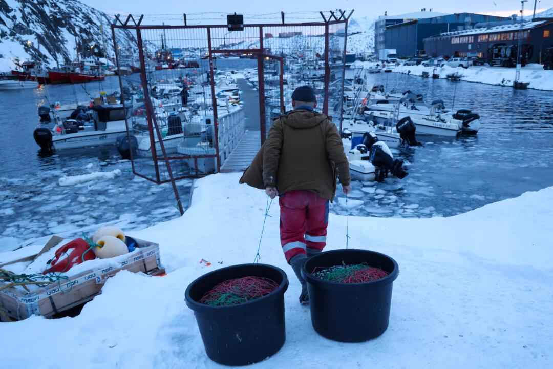 A fisherman drags buckets filled with baited lines to fishing boats in the harbor in Nuuk, Greenland, on Jan. 22, 2026. (Sean Gallup/Getty Images)