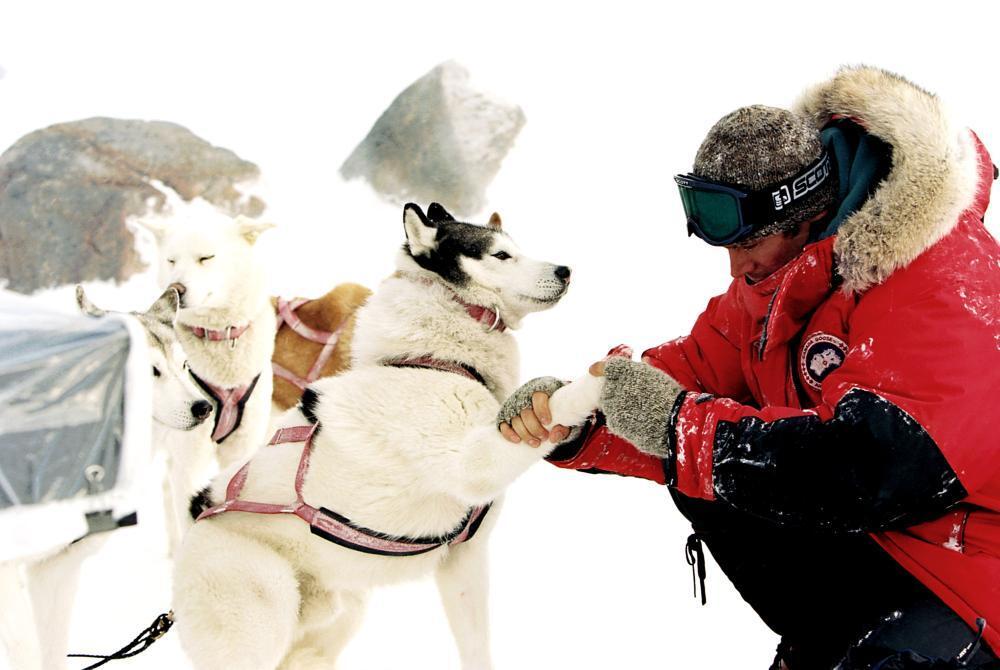 Jerry Shepard (Paul Walker), in “Eight Below.” (Walt Disney Features)
