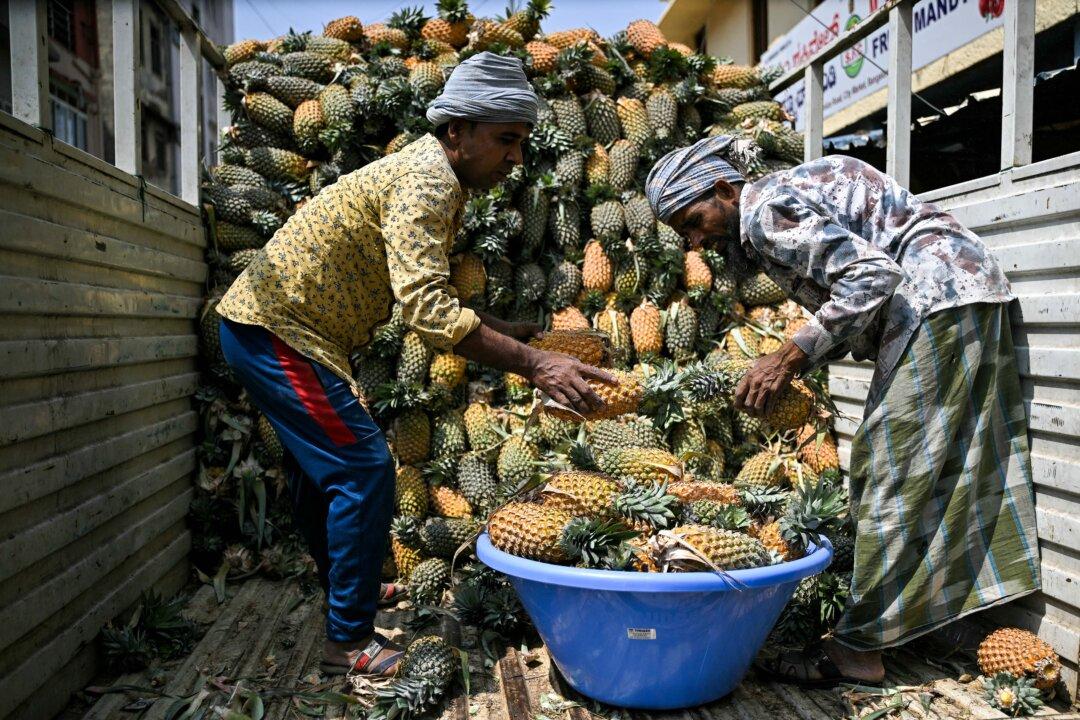 Workers unload pineapples from a truck at the KR Market in Bengaluru, India, on Feb. 9, 2026. (Idrees Mohammed/AFP via Getty Images)