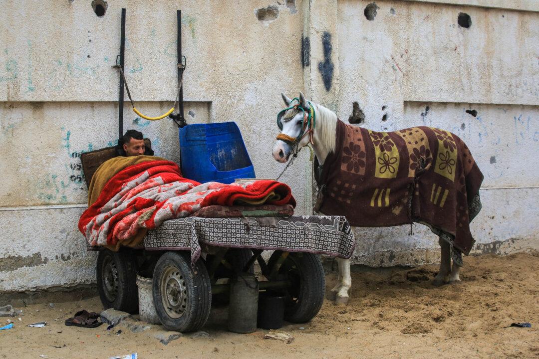 A Palestinian man sleeps next to his horse in Khan Yunis, in the southern Gaza Strip, on Feb. 10, 2026. A U.S.-brokered cease fire, which sought to halt the fighting between Israel and Hamas sparked by the group's October 2023 attack, took effect last October, reducing the level of bombing and fighting. (Bashar Taleb/AFP via Getty Images)