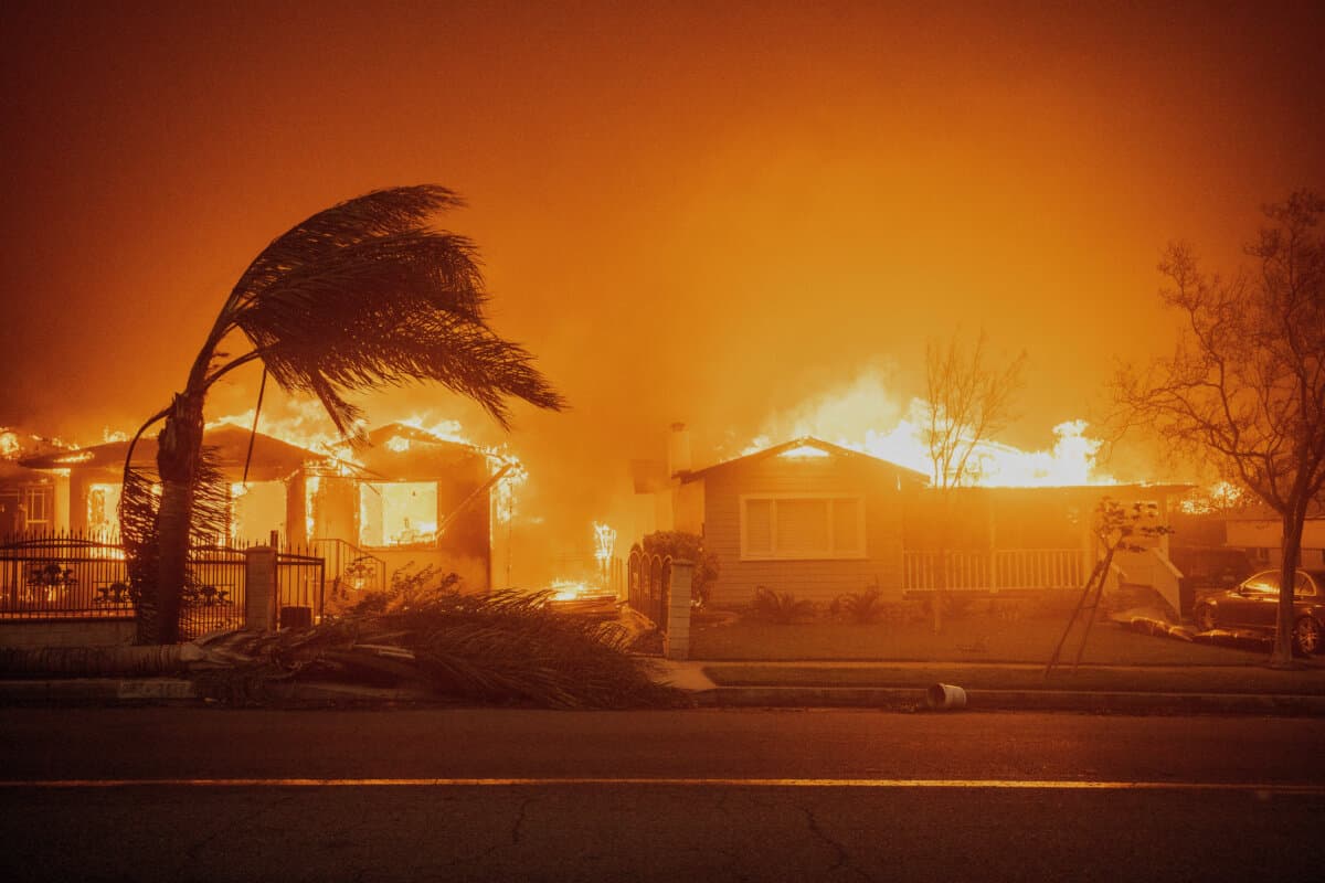 Trees sway in high winds as the Eaton Fire burns structures in Altadena, Calif, on Jan. 8, 2025. (Ethan Swope/AP Photo)