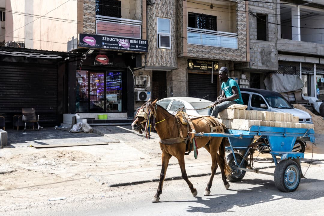 A man rides his horse cart past the store Les astuces de Maya on the eve of Valentine's Day in Dakar, Senegal, on Feb. 13, 2026. (Patrick Meinhardt/AFP via Getty Images)