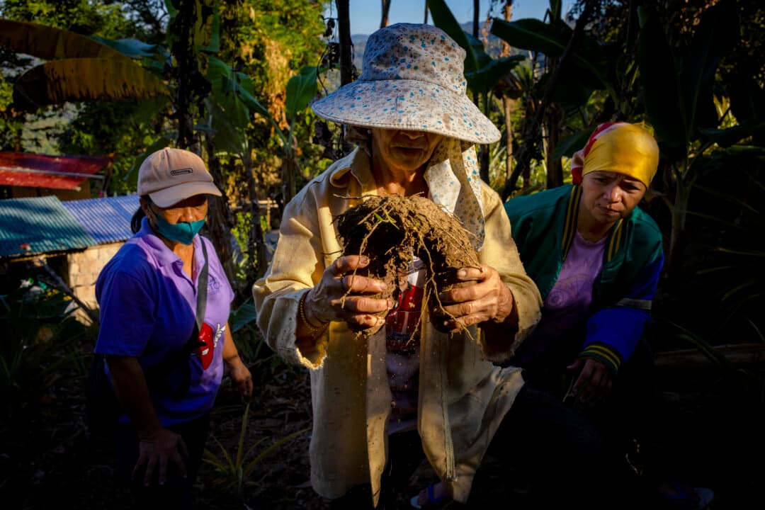Farmers Felisa Ap-ap, Myrcita Basilio, and Cinderella Emilio harvest purple yams from the side of a mountain in the village of Bayabas, Sablan, Philippines, on Feb. 13, 2026. The global appetite for ube, the Philippines’ signature purple yam, is surging as the ingredient trends in cafes and bakeries worldwide. But climate change, dwindling stock, and limited government support are straining small farmers and putting future harvests at risk. (Ezra Acayan/Getty Images)