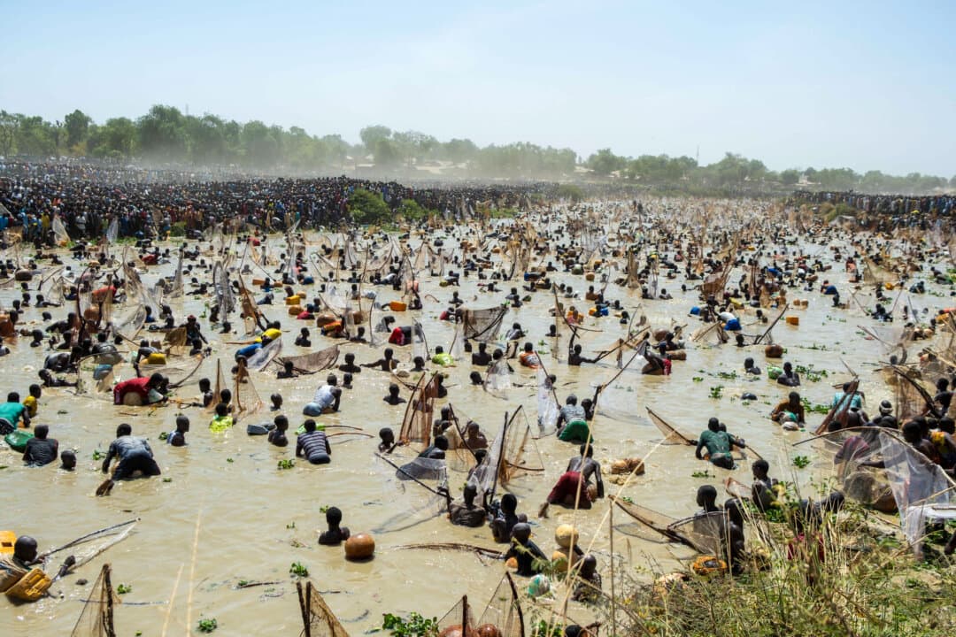Fishermen attempt to catch fish in the Mata Fada river during the Argungu Fishing and Cultural Festival in Argungu Town, Kebbi State, Nigeria, on Feb. 14, 2026. (Toyin Adedokun/AFP via Getty Images)