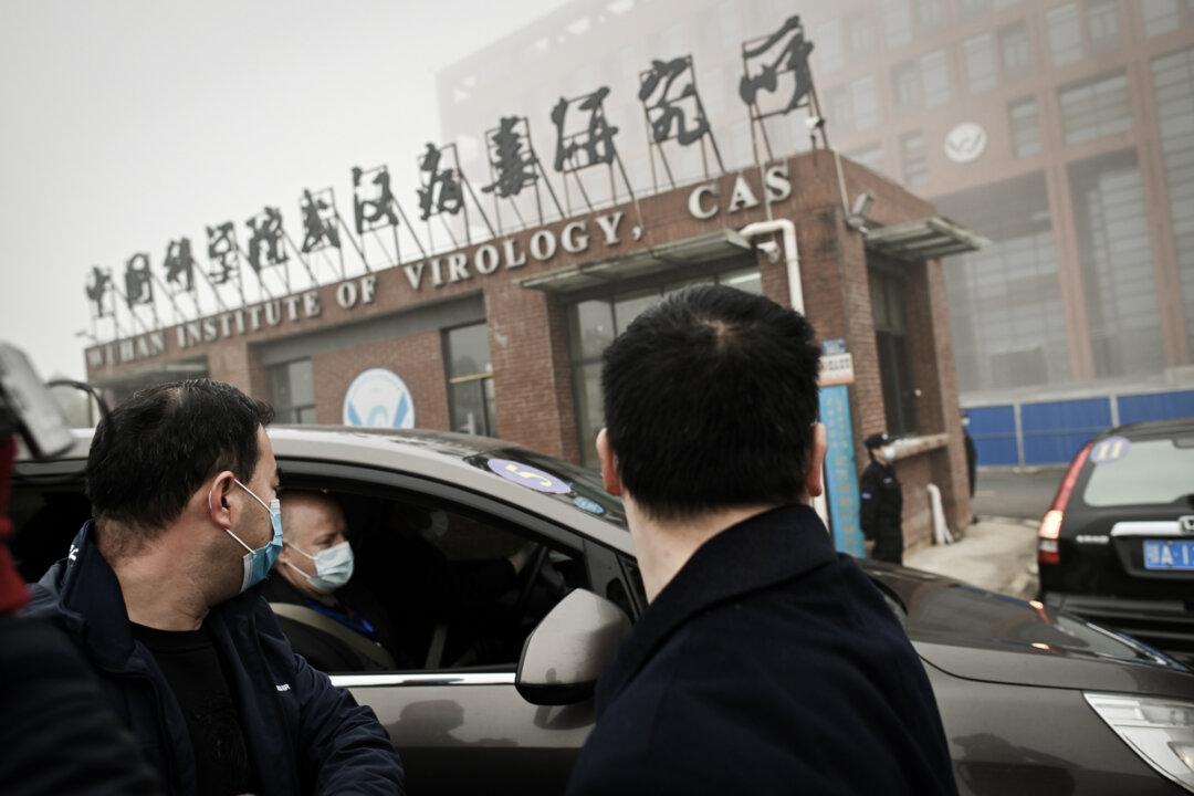 Members of the World Health Organization team investigating the origins of the COVID-19 virus arrive by car at the Wuhan Institute of Virology in Wuhan, Hubei Province, China, on Feb. 3, 2021. (Hector Retamal/AFP via Getty Images)