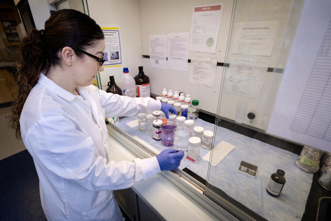 A researcher studies skin wound healing in a lab at the University of Illinois Chicago in Chicago on March 5, 2025. On Jan. 5, a federal appeals court ruled that the Trump administration could not limit the percentage amount the National Institutes of Health pays grant recipients for indirect costs, including administrative expenses and facility maintenance. (Scott Olson/Getty Images)