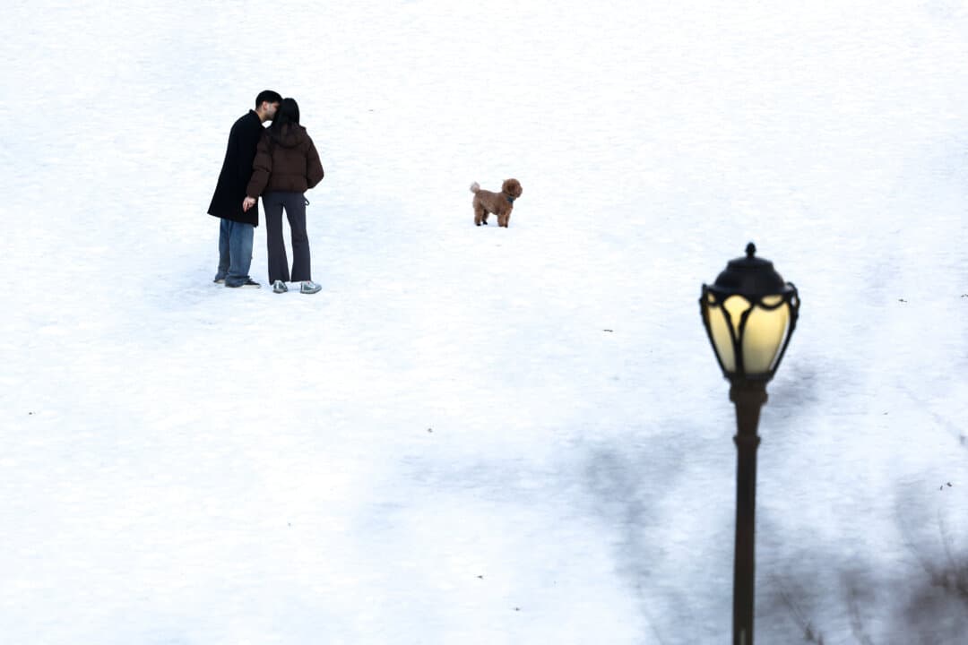 A couple kiss in Central Park on Valentine’s day in New York City on Feb. 14, 2026. (Charly Triballeau/AFP via Getty Images)