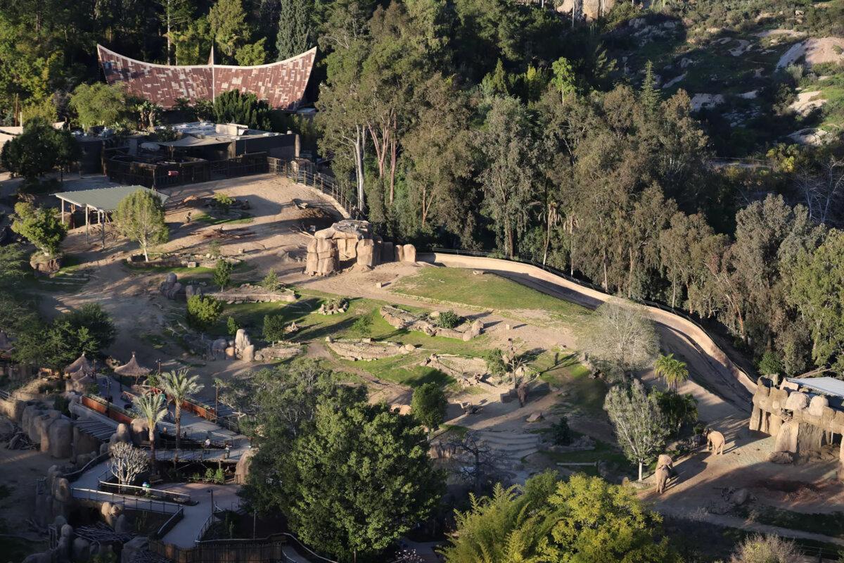 An aerial view of Elephant Valley at the San Diego Zoo Safari Park, home to eight elephants. (Allen J. Schaben/Los Angeles Times/TNS)