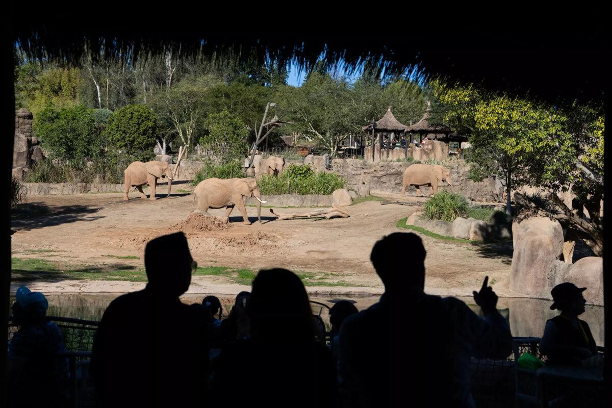The view from Elephant Valley’s Mkutano House, a two-story dining destination in the new space at the San Diego Zoo Safari Park. (Allen J. Schaben/Los Angeles Times/TNS)