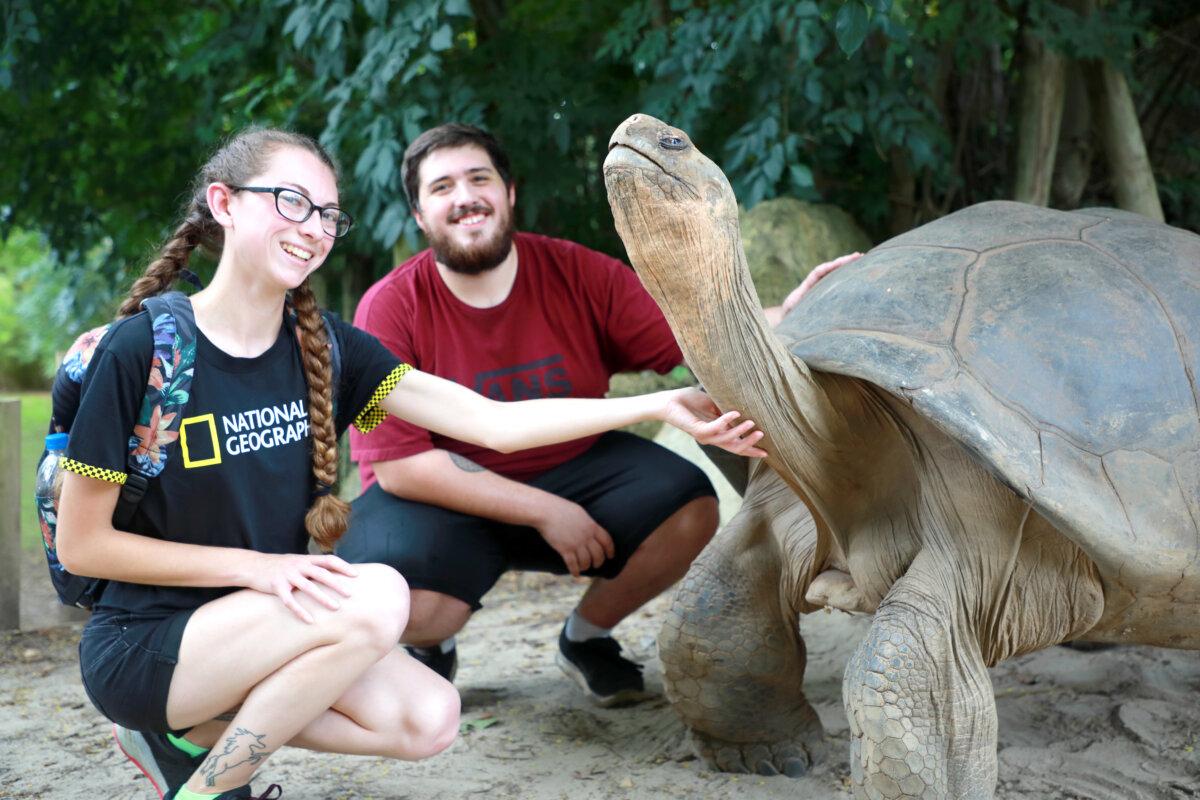 A student gets a hands-on learning experience. Some reptiles, like this Galapagos giant tortoise at Riverbanks Zoo & Garden in South Carolina, live to be more than 100 years old. (Courtesy of Riverbanks Zoo & Garden)