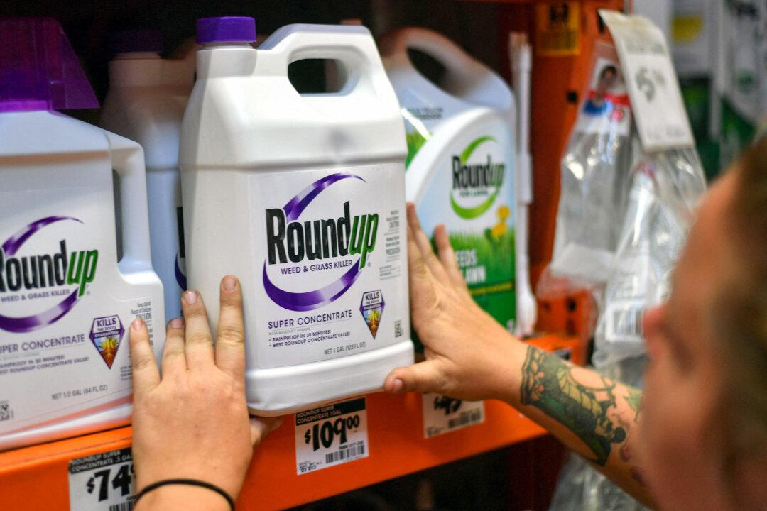 An employee adjusts Roundup products on a shelf at a store in San Rafael, Calif., on July 9, 2018. A lawyer for a California groundskeeper dying of cancer accused the company in a 2019 lawsuit of negligence and argued it should have warned users about the risk of developing cancer. (Josh Edelson/AFP via Getty Images)
