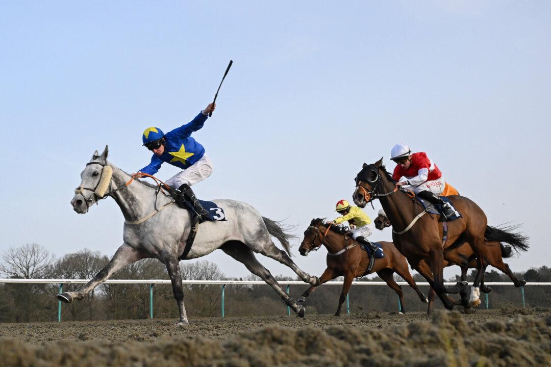 Jockey Luke Morris and Secret Road (L) on their way to victory at Lingfield Park in Lingfield, England, on March 5, 2026. (Mike Hewitt/Getty Images)