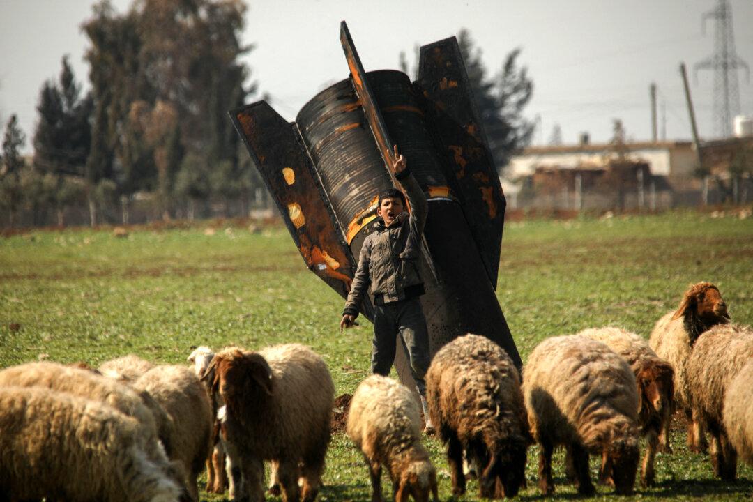 A shepherd boy walks with his livestock past an unexploded missile that landed in an open field on the outskirts of Qamishli, Syria, on March 5, 2026. Gulf countries have been targeted by repeated waves of Iranian drone and missile attacks in retaliation for the massive U.S.-Israeli air campaign. (Delil Souleiman/AFP via Getty Images)