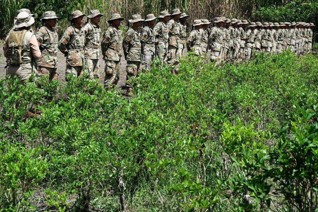 Bolivian soldiers prepare to eradicate coca plants on a demonstration camp after the presentation of coca crop eradication efforts at the Cabanas Operations base in Chimore, Cochabamba department, Bolivia, on March 5, 2025. (Aizar Raldes/AFP via Getty Images)