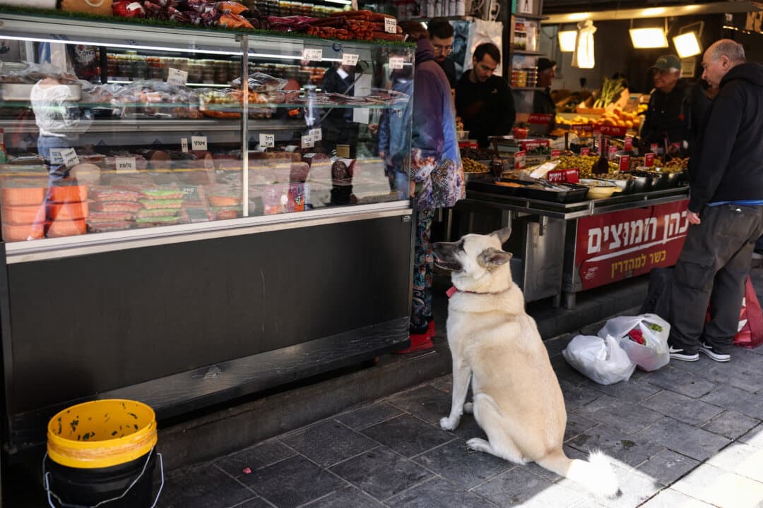 A dog looks on as Israelis shop at the Mahane Yehoda market in west Jerusalem on March 12, 2026. (Hazem Bader/AFP via Getty Images)