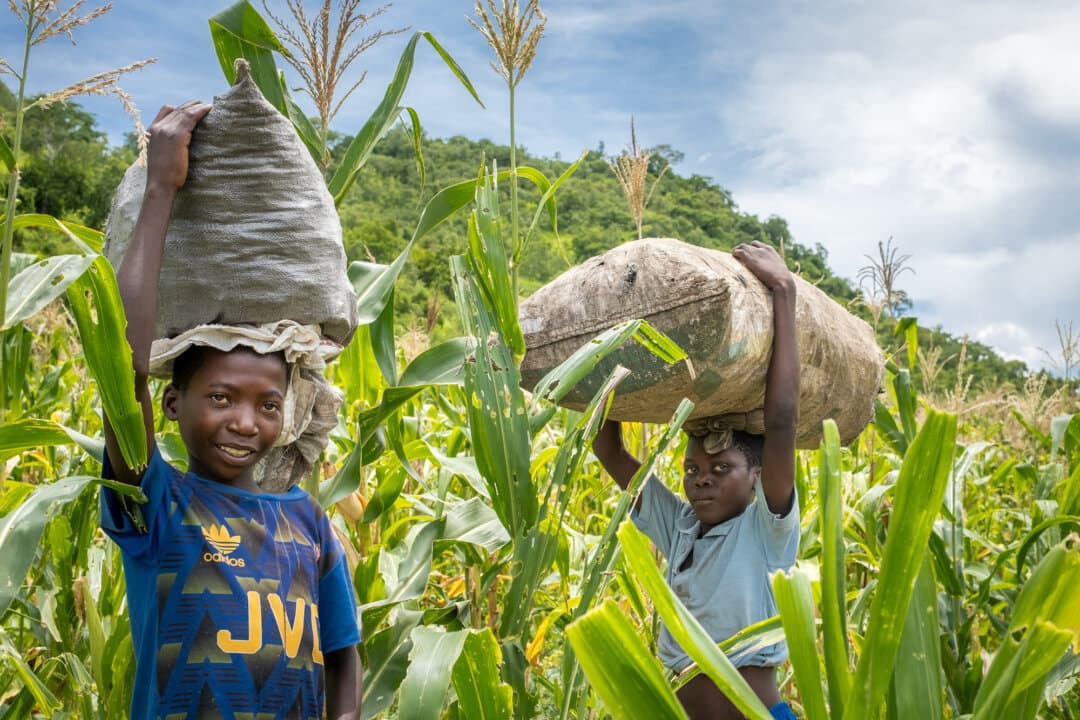 (Left) Rural villagers travel in the Mwanza district, Malawi, on Feb. 24, 2026. (Center) Children work on a farm in the Mangochi district, Malawi, on Feb. 20, 2026. (Right) Children play in a village in the Blantyre district, Malawi, on Feb. 23, 2026. (John Fredricks/The Epoch Times)